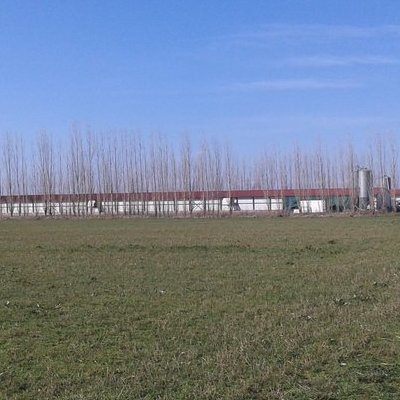 Εξωτερική άποψη πτηνοτροφικής μονάδας