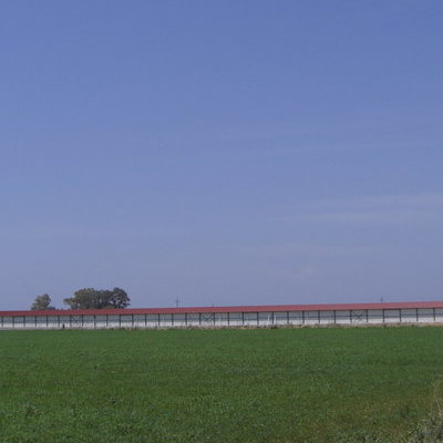Εξωτερική άποψη πτηνοτροφικής μονάδας